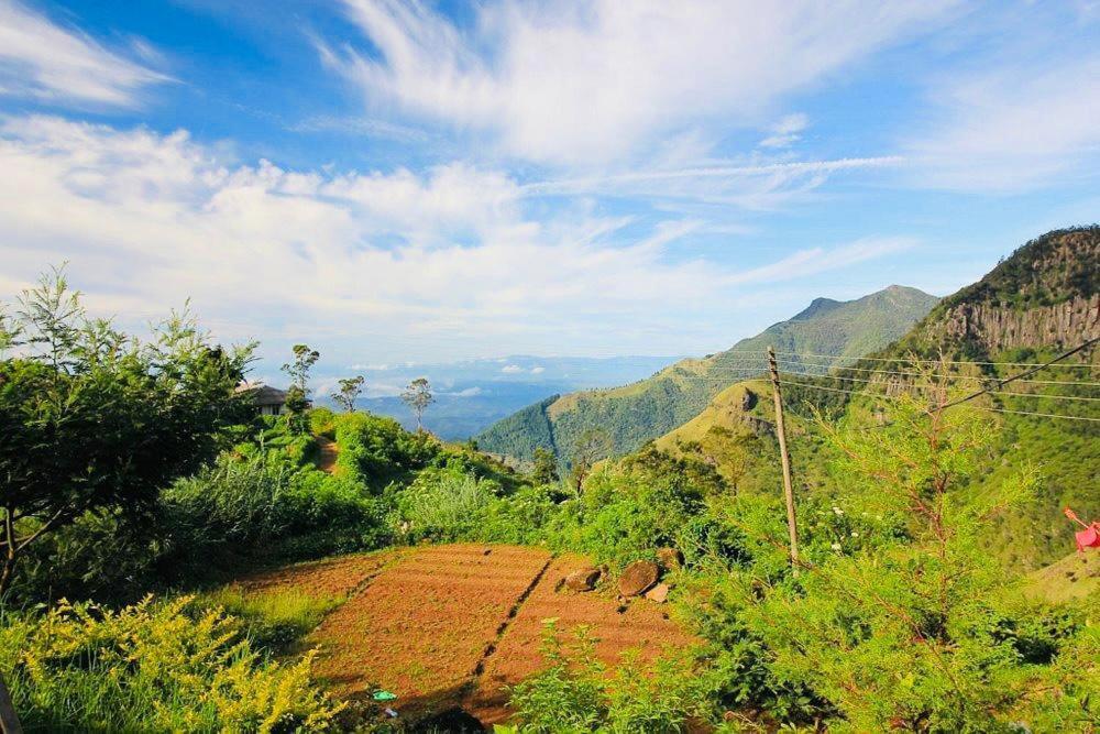 Misty Mountain Lodge Ohiya Exterior photo